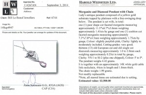 e8463 appraisal morganite pendant